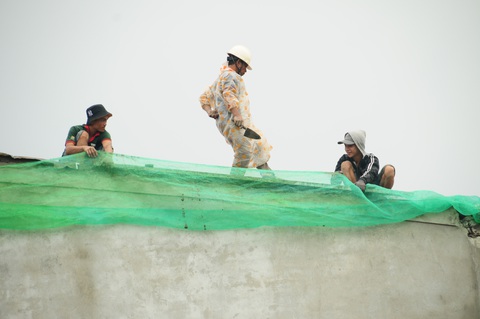 Nông dân hối hả gặt lúa sớm, phố cổ đốn bớt cây tránh bão - Ảnh 6. Nông dân hối hả gặt lúa sớm, phố cổ đốn bớt cây tránh bão - Ảnh 6.