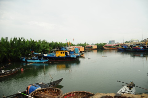 Nông dân hối hả gặt lúa sớm, phố cổ đốn bớt cây tránh bão - Ảnh 5. Nông dân hối hả gặt lúa sớm, phố cổ đốn bớt cây tránh bão - Ảnh 5.