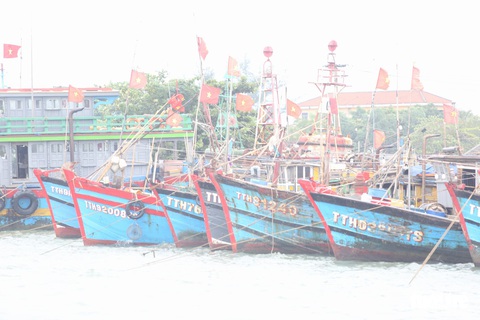 Cảng cá lớn nhất Thừa Thiên Huế hối hả trước giờ bão vào - Ảnh 8. Cảng cá lớn nhất Thừa Thiên Huế hối hả trước giờ bão vào - Ảnh 8.