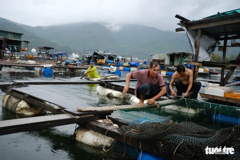 Vận động người nuôi cá lồng bè lên bờ tránh bão - Ảnh 2. Vận động người nuôi cá lồng bè lên bờ tránh bão - Ảnh 2.