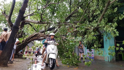 Bão số 5: Đà Nẵng chèn bao cát ngăn nước vào nhà, Huế có 14 người bị thương - Ảnh 4. Bão số 5: Đà Nẵng chèn bao cát ngăn nước vào nhà, Huế có 14 người bị thương - Ảnh 4.