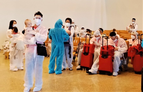 Những baby bay về từ xứ Hàn - Ảnh 1. Những baby bay về từ xứ Hàn - Ảnh 1.