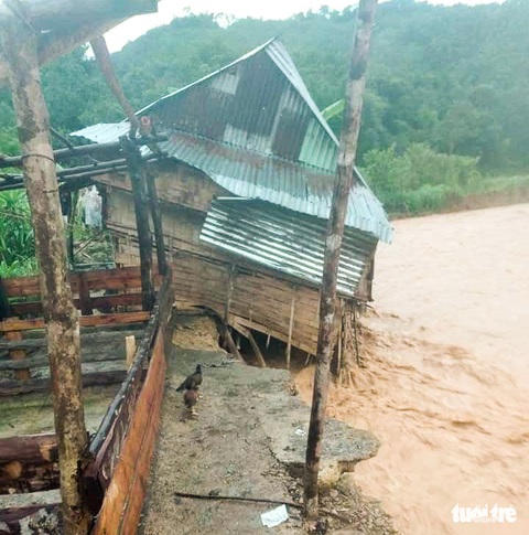 Nhà cửa đổ sập, trâu bò chết trôi tại Tây Giang do bão số 5 - Ảnh 2. Nhà cửa đổ sập, trâu bò chết trôi tại Tây Giang do bão số 5 - Ảnh 2.