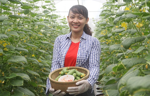 Khu vườn cho trẻ đô thị trải nghiệm - Ảnh 1. Khu vườn cho trẻ đô thị trải nghiệm - Ảnh 1.