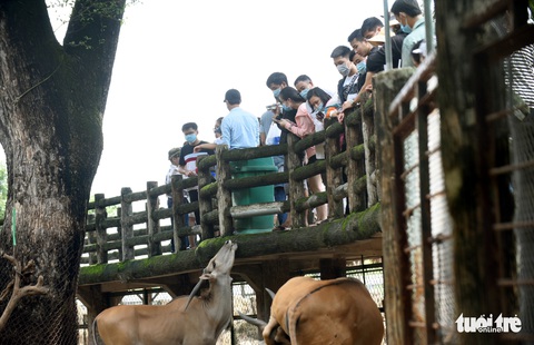 Thảo cầm viên Sài Gòn đông nghẹt khách đến chơi lễ - Ảnh 3. Thảo cầm viên Sài Gòn đông nghẹt khách đến chơi lễ - Ảnh 3.