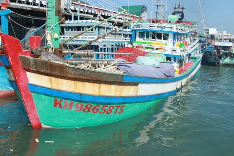 Nuôi cò giữa Biển Đông mới trúng đậm cá lớn - Ảnh 1. Nuôi cò giữa Biển Đông mới trúng đậm cá lớn - Ảnh 1.