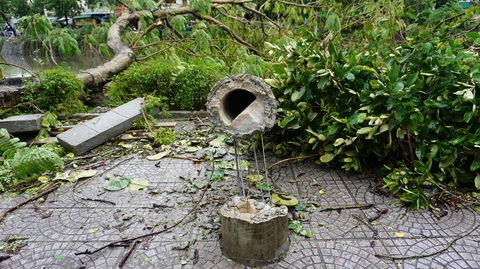 EVNCPC: Nhiều cột điện ở Huế gãy đổ trong bão do cây ngã đè - Ảnh 1. EVNCPC: Nhiều cột điện ở Huế gãy đổ trong bão do cây ngã đè - Ảnh 1.