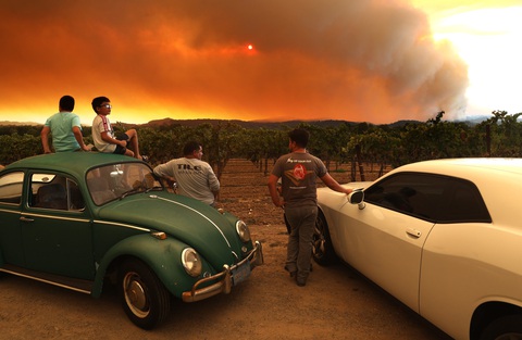 Cháy rừng lịch sử làm đổi hương vị nho California - Ảnh 1. Cháy rừng lịch sử làm đổi hương vị nho California - Ảnh 1.