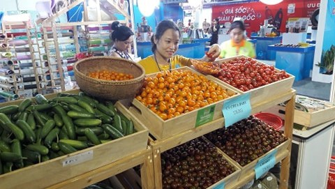 Cá kho làng Vũ Đại, nem chả Bến Tre cùng hàng ngàn đặc sản vùng miền đổ về TP.HCM - Ảnh 4. Cá kho làng Vũ Đại, nem chả Bến Tre cùng hàng ngàn đặc sản vùng miền đổ về TP.HCM - Ảnh 4.