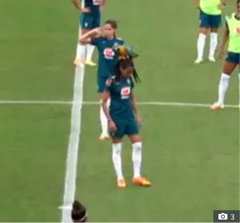 Video: Nữ tuyển thủ Brazil ‘đứng hình’ vì chú vẹt đáp lên đầu - Ảnh 1. Video: Nữ tuyển thủ Brazil ‘đứng hình’ vì chú vẹt đáp lên đầu - Ảnh 1.