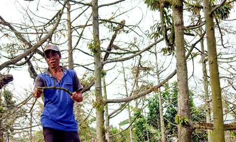 Chống hạn, mặn: Không thể nóng đâu phủi đó - Ảnh 4. Chống hạn, mặn: Không thể nóng đâu phủi đó - Ảnh 4.