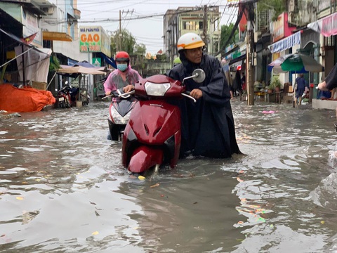 Cây bật gốc đổ ngang đường Nguyễn Tri Phương làm 1 người bị thương, ngập và kẹt xe nhiều nơi - Ảnh 7. Cây bật gốc đổ ngang đường Nguyễn Tri Phương làm 1 người bị thương, ngập và kẹt xe nhiều nơi - Ảnh 7.