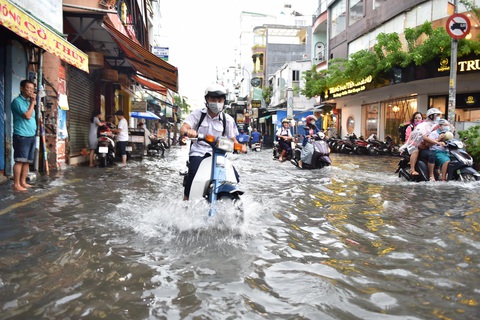 Cây bật gốc đổ ngang đường Nguyễn Tri Phương làm 1 người bị thương, ngập và kẹt xe nhiều nơi - Ảnh 9. Cây bật gốc đổ ngang đường Nguyễn Tri Phương làm 1 người bị thương, ngập và kẹt xe nhiều nơi - Ảnh 9.