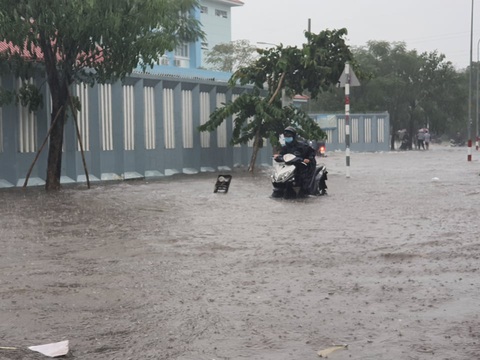 Cây bật gốc đổ ngang đường Nguyễn Tri Phương làm 1 người bị thương, ngập và kẹt xe nhiều nơi - Ảnh 6. Cây bật gốc đổ ngang đường Nguyễn Tri Phương làm 1 người bị thương, ngập và kẹt xe nhiều nơi - Ảnh 6.