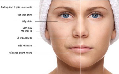 Bộ đôi Collagen và Coenzyme Q10: Chìa khóa giữ gìn sự trẻ trung cho làn da - Ảnh 1. Bộ đôi Collagen và Coenzyme Q10: Chìa khóa giữ gìn sự trẻ trung cho làn da - Ảnh 1.