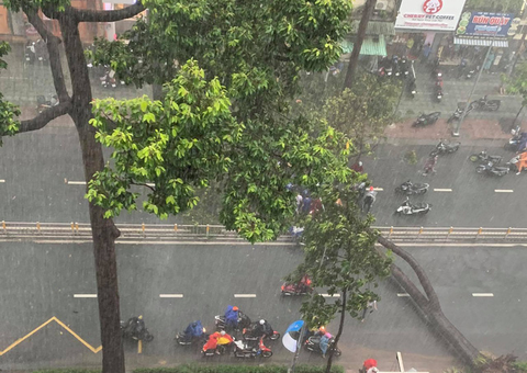 Cây bật gốc đổ ngang đường Nguyễn Tri Phương làm 1 người bị thương, ngập và kẹt xe nhiều nơi - Ảnh 2. Cây bật gốc đổ ngang đường Nguyễn Tri Phương làm 1 người bị thương, ngập và kẹt xe nhiều nơi - Ảnh 2.