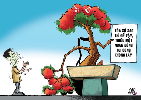 Kéo nhau ra tòa vì... gãy nhánh bông trang - Ảnh 1. Kéo nhau ra tòa vì... gãy nhánh bông trang - Ảnh 1.