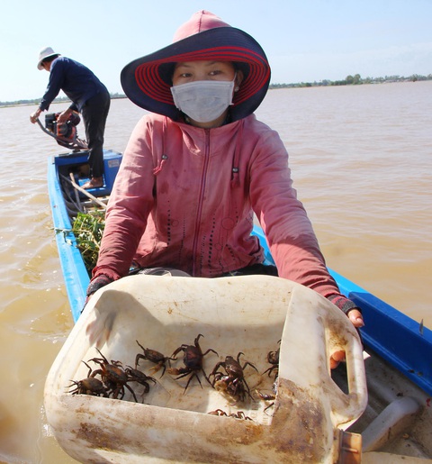 Đồng bằng sông Cửu Long lo đói lũ - Ảnh 2. Đồng bằng sông Cửu Long lo đói lũ - Ảnh 2.
