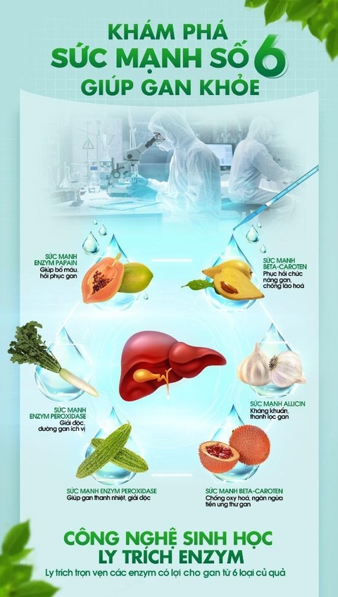 Ứng dụng công nghệ sinh học trong giải độc gan - Ảnh 3. Ứng dụng công nghệ sinh học trong giải độc gan - Ảnh 3.