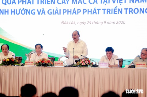Thủ tướng: cây mắc ca giúp dân làm giàu nhưng tránh mở rộng tràn lan - Ảnh 1. Thủ tướng: cây mắc ca giúp dân làm giàu nhưng tránh mở rộng tràn lan - Ảnh 1.