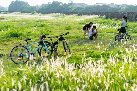 Lãng mạn mùa cỏ tranh xứ Huế - Ảnh 2. Lãng mạn mùa cỏ tranh xứ Huế - Ảnh 2.