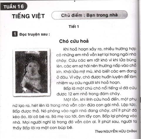 Sách giáo dục bị in giả tràn lan - Ảnh 3. Sách giáo dục bị in giả tràn lan - Ảnh 3.