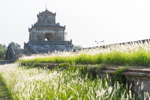 Lãng mạn mùa cỏ tranh xứ Huế - Ảnh 8. Lãng mạn mùa cỏ tranh xứ Huế - Ảnh 8.