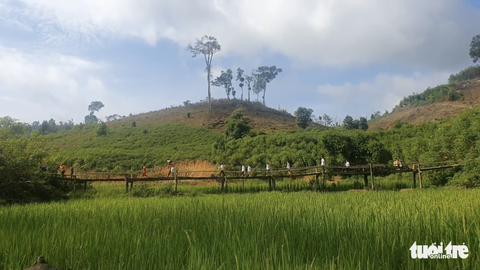 Khai giảng ở vùng tâm dịch bạch hầu - Ảnh 7. Khai giảng ở vùng tâm dịch bạch hầu - Ảnh 7.