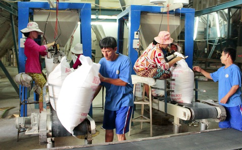 Gạo bẩn: Cần dữ liệu khoa học đầy đủ - Ảnh 1. Gạo bẩn: Cần dữ liệu khoa học đầy đủ - Ảnh 1.
