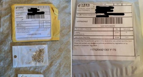 Amazon cấm bán hạt giống nước ngoài tại Mỹ - Ảnh 1. Amazon cấm bán hạt giống nước ngoài tại Mỹ - Ảnh 1.