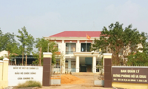 Để mất hơn 360ha rừng trong gần 20 năm, 2 đời trưởng ban quản lý rừng bị khởi tố - Ảnh 1. Để mất hơn 360ha rừng trong gần 20 năm, 2 đời trưởng ban quản lý rừng bị khởi tố - Ảnh 1.