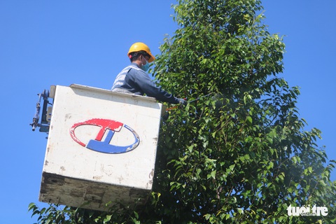 Phun thuốc sinh học cứu cây xanh tại TP.HCM bị sâu ăn lá tấn công - Ảnh 3. Phun thuốc sinh học cứu cây xanh tại TP.HCM bị sâu ăn lá tấn công - Ảnh 3.