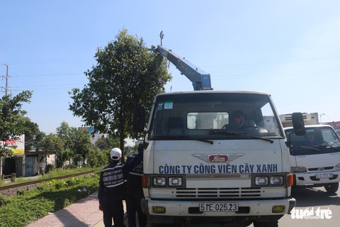 Phun thuốc sinh học cứu cây xanh tại TP.HCM bị sâu ăn lá tấn công - Ảnh 5. Phun thuốc sinh học cứu cây xanh tại TP.HCM bị sâu ăn lá tấn công - Ảnh 5.