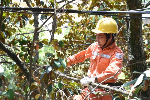 EVNHANOI: 3 sẵn sàng, 4 tại chỗ trong mùa mưa bão - Ảnh 2. EVNHANOI: 3 sẵn sàng, 4 tại chỗ trong mùa mưa bão - Ảnh 2.