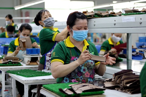 Bộ trưởng Mai Tiến Dũng nói về thương hiệu quốc gia Việt Nam và hậu trường chống dịch khác WHO - Ảnh 1. Bộ trưởng Mai Tiến Dũng nói về thương hiệu quốc gia Việt Nam và hậu trường chống dịch khác WHO - Ảnh 1.