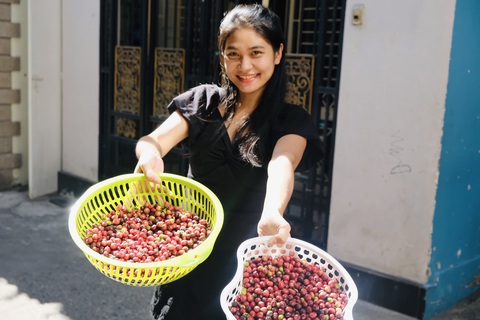 Độc đáo: Dân thành phố mua cành cà phê về chưng tết - Ảnh 4. Độc đáo: Dân thành phố mua cành cà phê về chưng tết - Ảnh 4.
