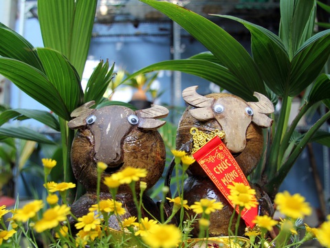Độc đáo bonsai hình con trâu - Ảnh 1. Độc đáo bonsai hình con trâu - Ảnh 1.