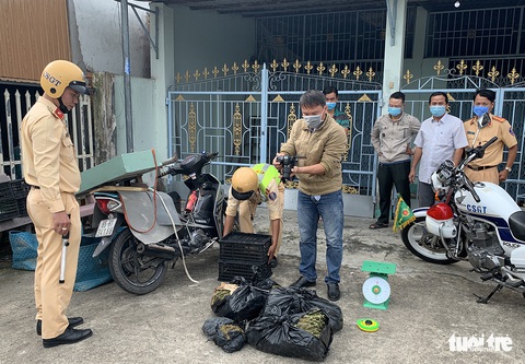Bắt tạm giam người vận chuyển cần sa dưới vỏ bọc buôn bán rau cải - Ảnh 2. Bắt tạm giam người vận chuyển cần sa dưới vỏ bọc buôn bán rau cải - Ảnh 2.