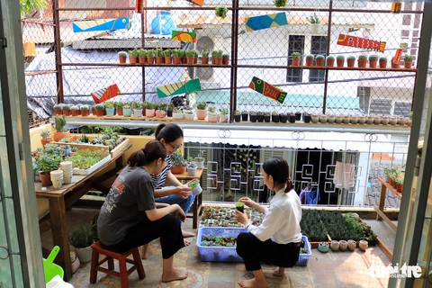 Có một ngôi nhà mang tên... nhiều lá - Ảnh 1. Có một ngôi nhà mang tên... nhiều lá - Ảnh 1.