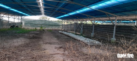Tiếp tục kiểm tra các dự án ‘nấm năng lượng’, ‘heo năng lượng’ để xử lý - Ảnh 1. Tiếp tục kiểm tra các dự án ‘nấm năng lượng’, ‘heo năng lượng’ để xử lý - Ảnh 1.