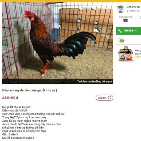 Cảnh báo: đủ thứ đồ chơi cờ bạc rộn ràng trên chợ mạng - Ảnh 1. Cảnh báo: đủ thứ đồ chơi cờ bạc rộn ràng trên chợ mạng - Ảnh 1.
