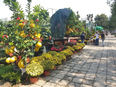 Cam canh, bưởi Diễn... hàng chục triệu đồng Nam tiến - Ảnh 9. Cam canh, bưởi Diễn... hàng chục triệu đồng Nam tiến - Ảnh 9.