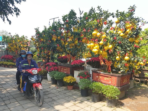 Cam canh, bưởi Diễn... hàng chục triệu đồng Nam tiến - Ảnh 2. Cam canh, bưởi Diễn... hàng chục triệu đồng Nam tiến - Ảnh 2.