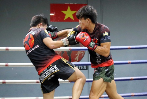 Gene Việt trội trên võ đài - Ảnh 3. Gene Việt trội trên võ đài - Ảnh 3.