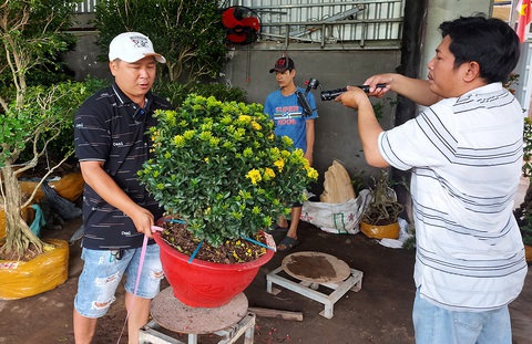 Đặc sản hồng treo gió Đà Lạt hút hàng - Ảnh 2. Đặc sản hồng treo gió Đà Lạt hút hàng - Ảnh 2.