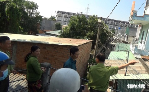 Đàn khỉ đại náo khu dân cư: Đã gây mê, đưa về trạm cứu hộ 2 con khỉ - Ảnh 1. Đàn khỉ đại náo khu dân cư: Đã gây mê, đưa về trạm cứu hộ 2 con khỉ - Ảnh 1.