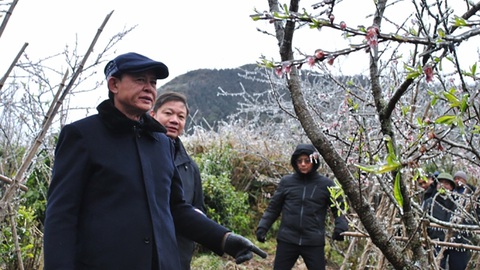 ongtuan1501 1(read-only) ongtuan1501 1(read-only)