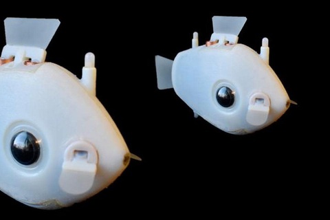 Cá robot - Phương tiện mới cho hoạt động cứu hộ trên biển - Ảnh 1. Cá robot - Phương tiện mới cho hoạt động cứu hộ trên biển - Ảnh 1.