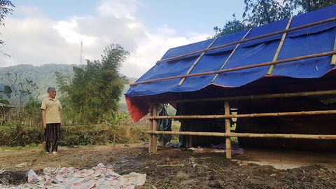 Một huyện có 900 trâu bò chết rét, bà con lo mất tết - Ảnh 2. Một huyện có 900 trâu bò chết rét, bà con lo mất tết - Ảnh 2.