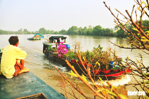 Hẹn tết sau về nhà - Ảnh 1. Hẹn tết sau về nhà - Ảnh 1.